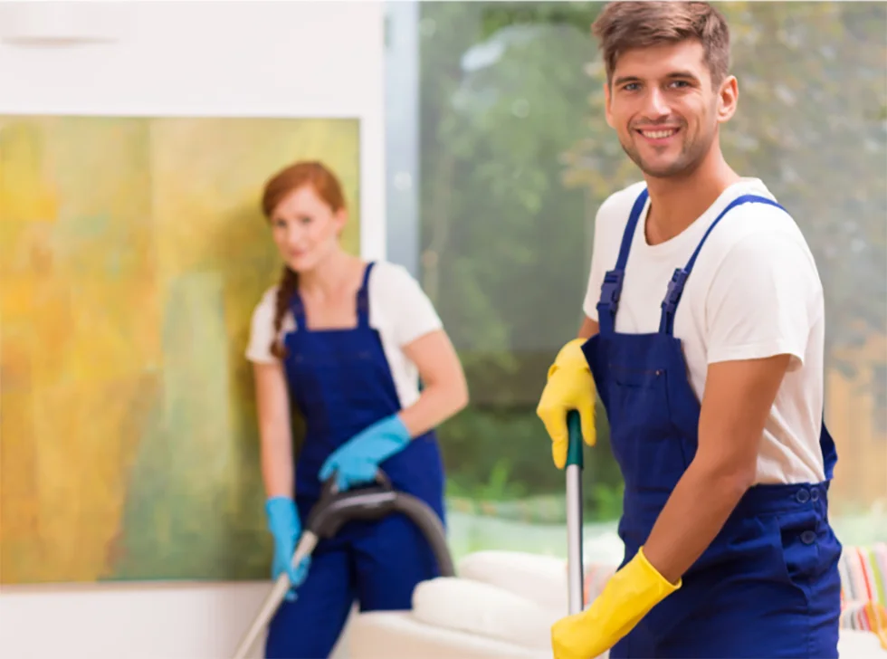 cleaner 3