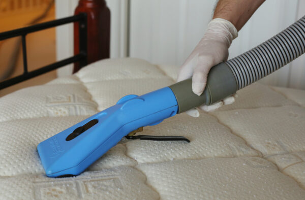 Dust Mite Cleaning Services by Hygiene Homes: Breathe Easy with Professional Help