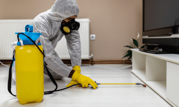 Allergy Cleaning Services in Chennai – Professional Experts | Hygiene Homes